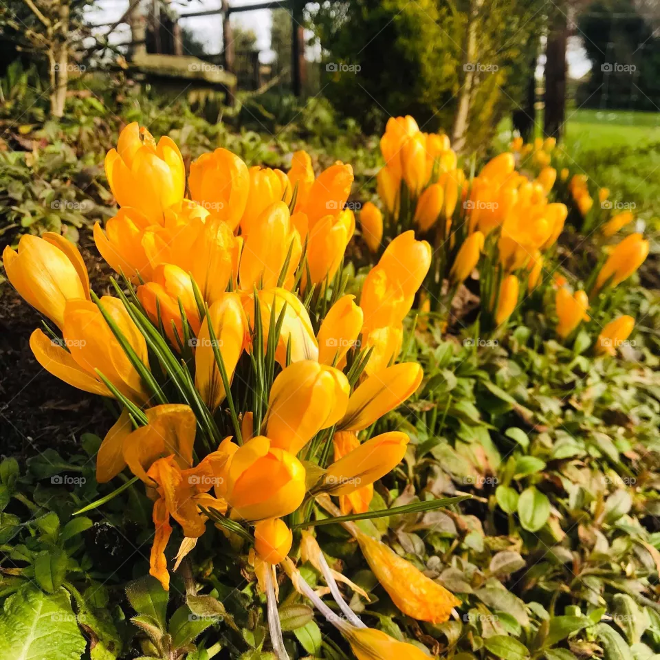 Nature's colors