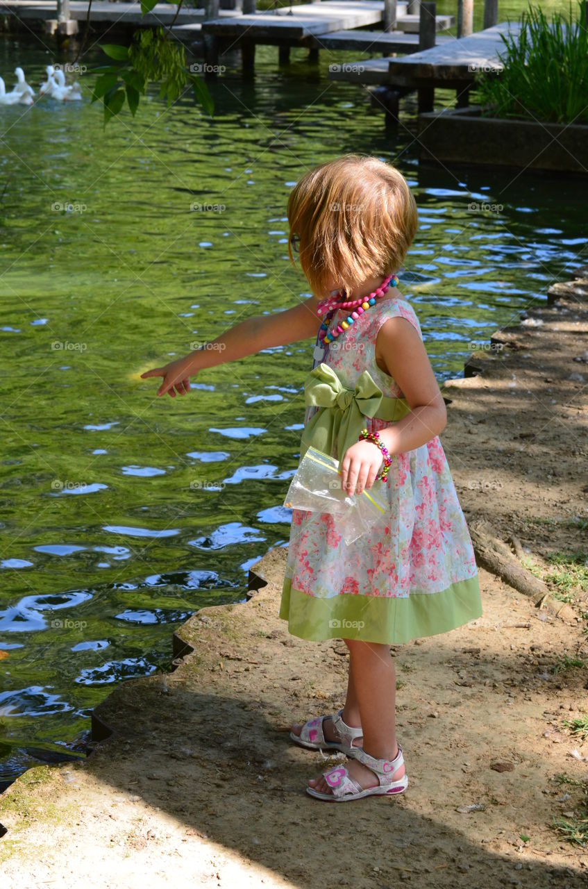 Amazement at the Koi Pond at the Memphis Botanical Gardens