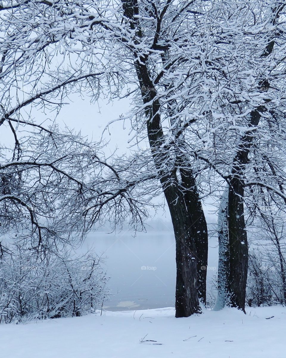 Winter landscape 