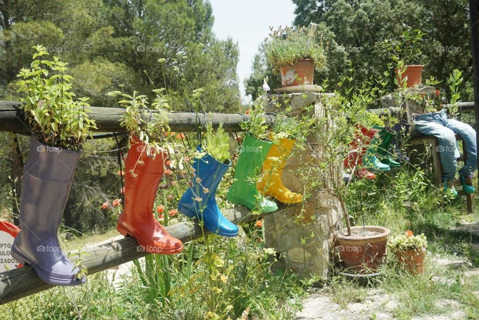 Shoes#colors#plants#nature