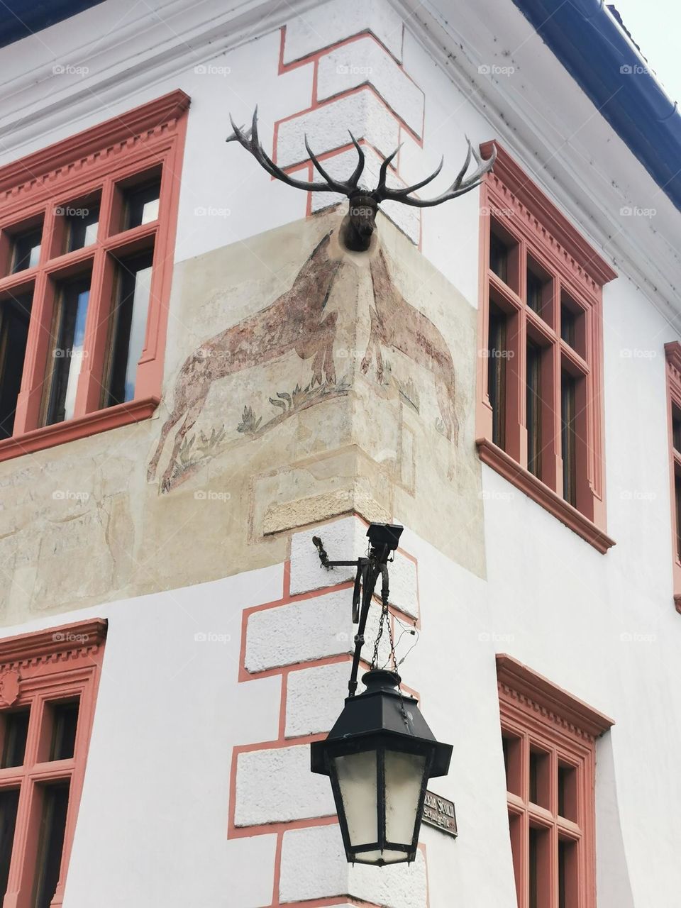 Stag house in old city of Sighisoara, Romania