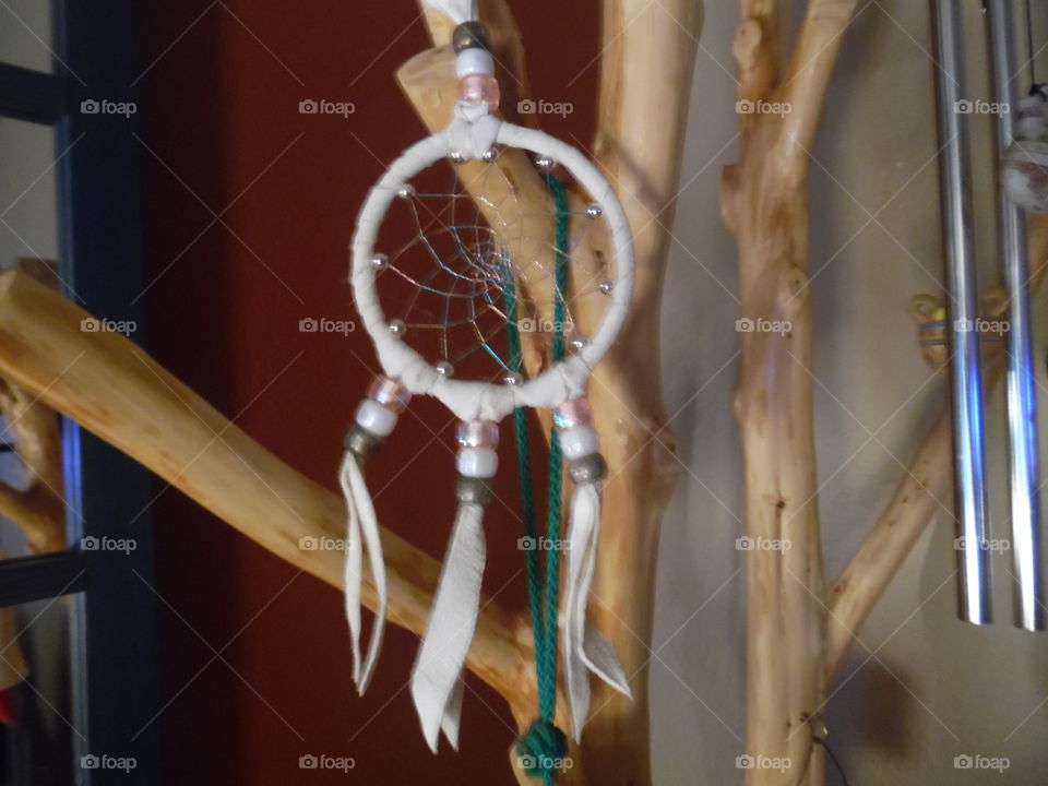 dream catcher. This is a picture of a dream catcher that is hanging in a tree 🎄 as decoration