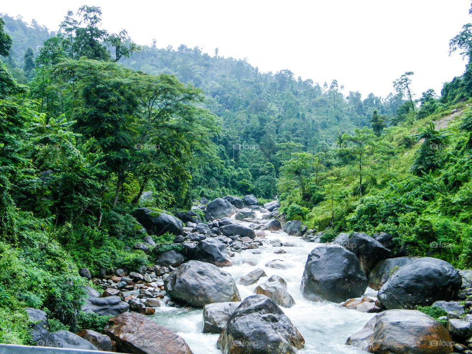 River Murti at Rocky Island Teesta, the Rangit river flowing through a dense pristine jungle in northeast of Rangpo Chu at Rangpo settlement just before the Teesta bridge at entrance to East Sikkim.