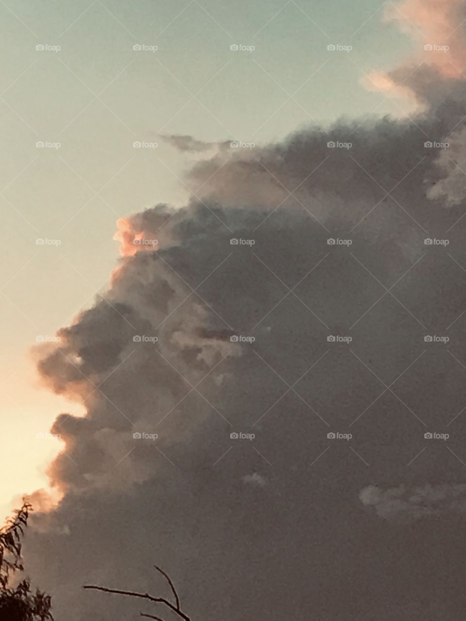 I Visually see hair up the head, eyes, nose, lower lip, chin, and Gotee, Big Head. 