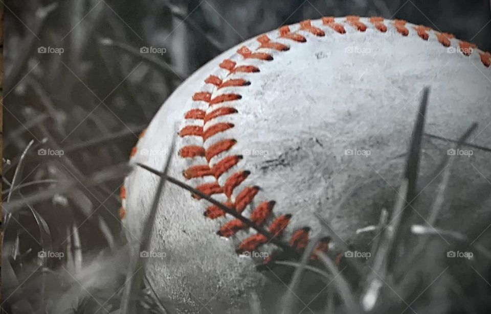 Baseball Season Image 