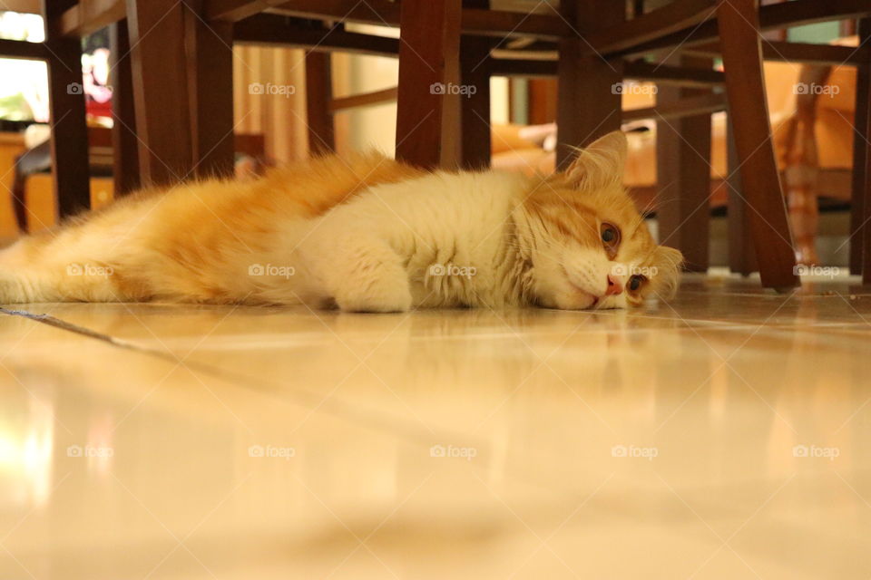 lying down on the floor