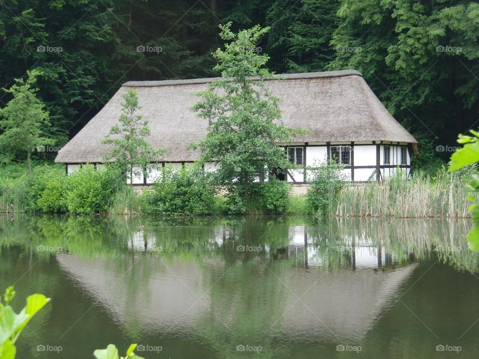 Museum lake