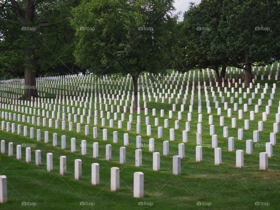 Washington Memorial Cemetery soldier deceased 