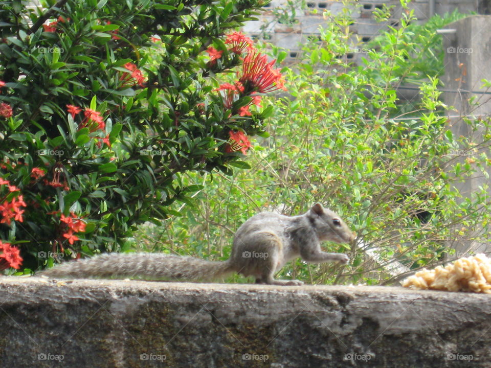 The art of composition