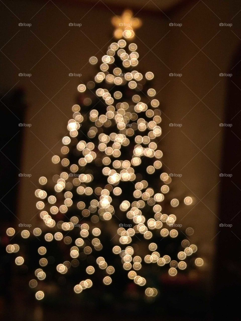 sparkling tree