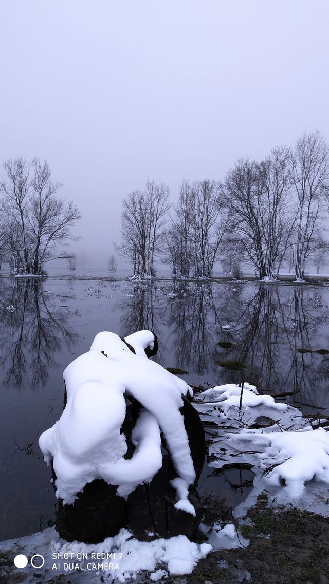 Odransko polje