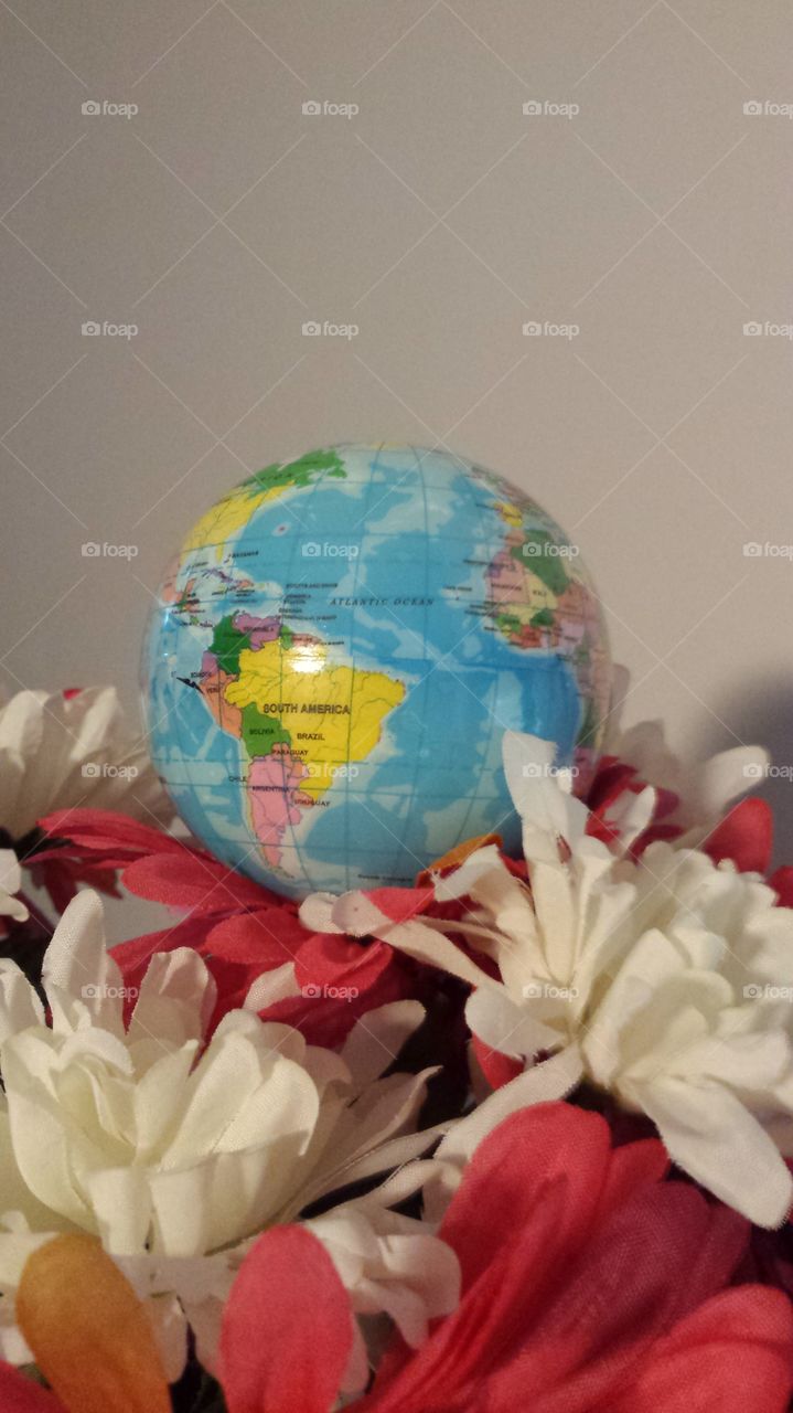 world globe flowers