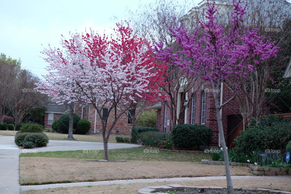 Trio of colors