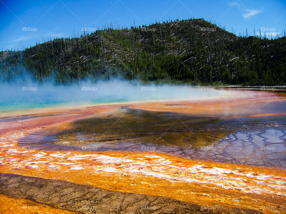 The Grand Prismatic Hot Spring 