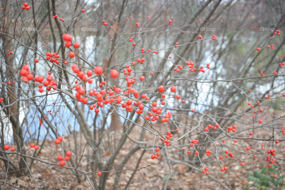 Looks like winter but feels like Spring