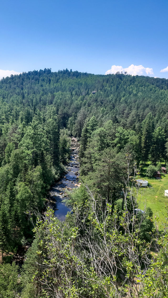 Nature.