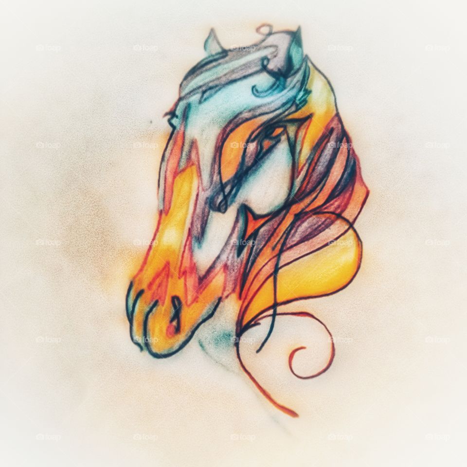 horse sketch