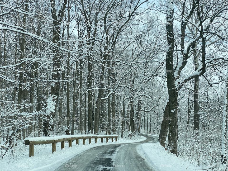 Road in snowed forest 