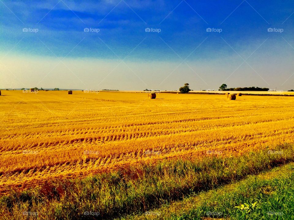 Brandon Manitoba prairie 
