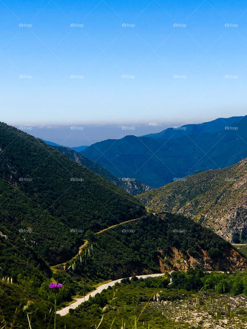 Mountain View - Azusa