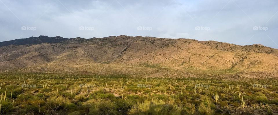 Panorama Nature Landscape 