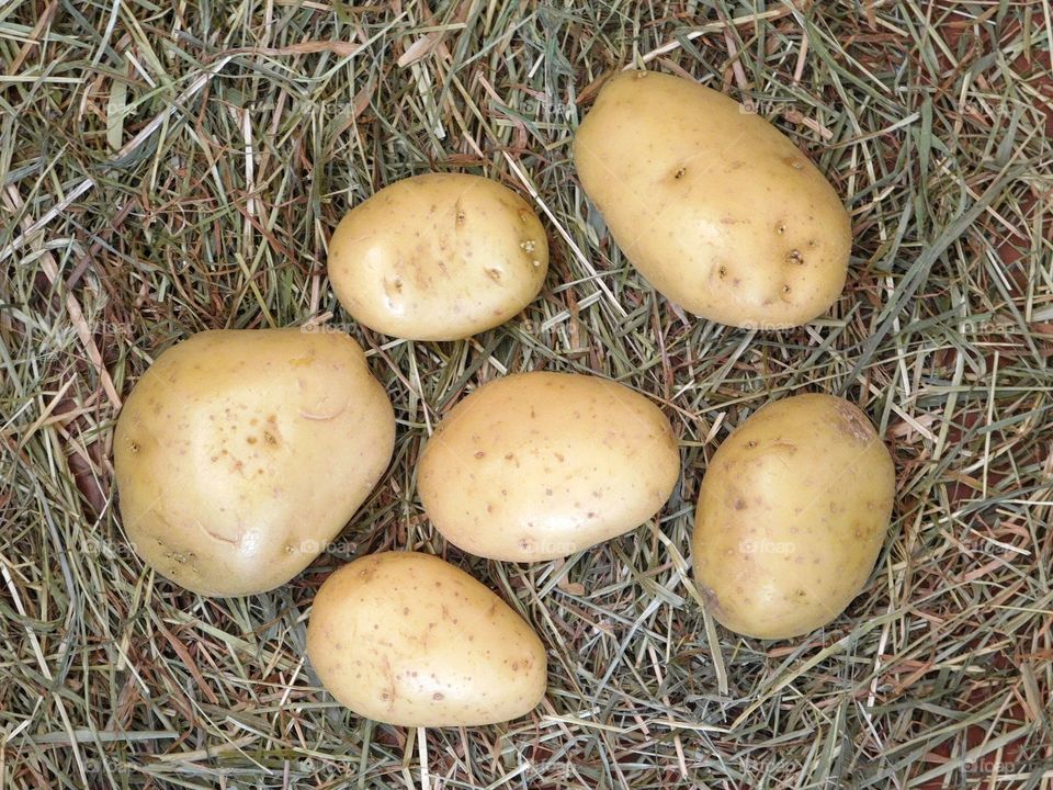 potatoes