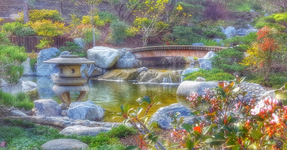 Japanese Friendship Garden, San Diego