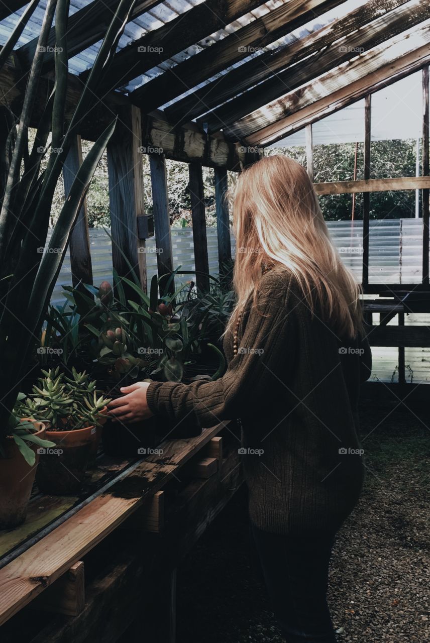 A greenhouse full of succulents and cacti. Golden hair and an olive sweater, sunlight streaming through the windows