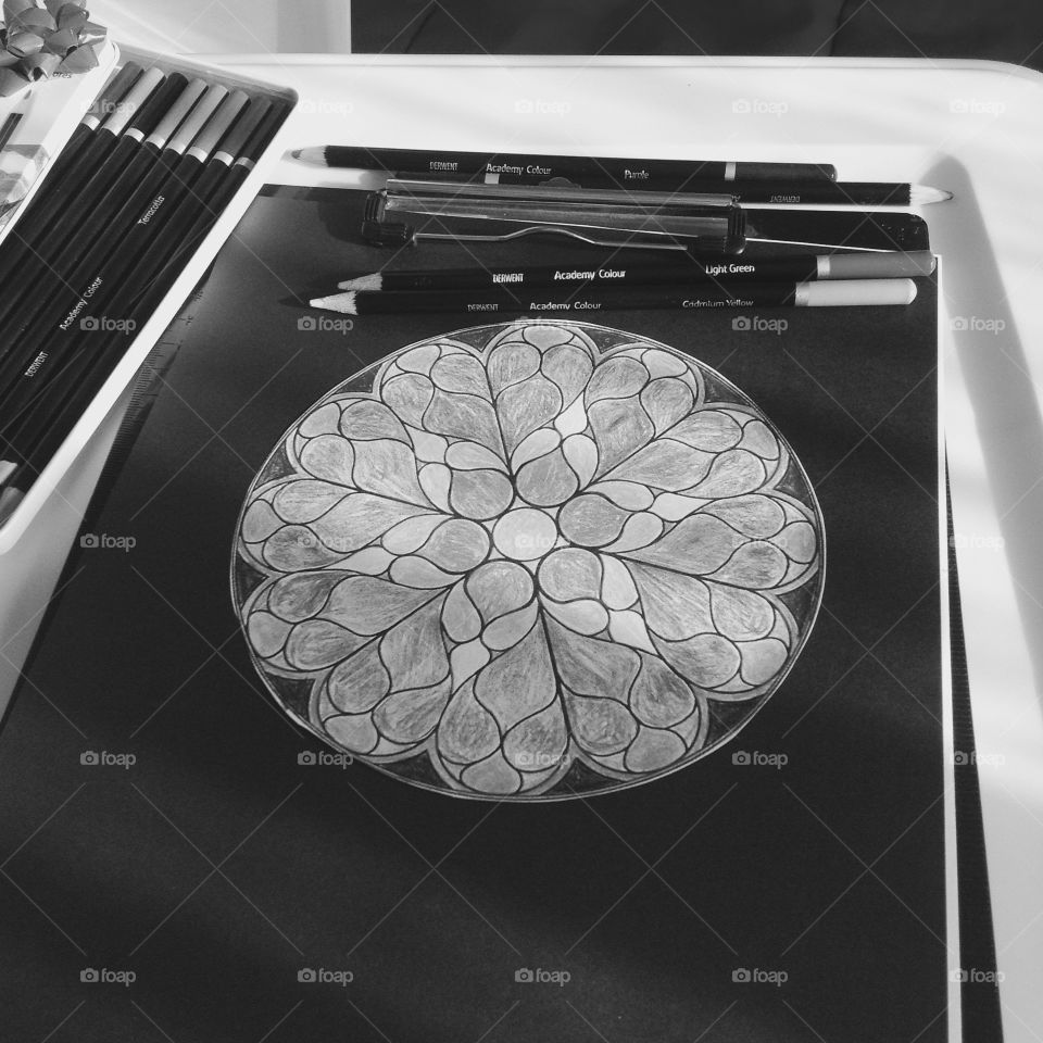 Dear went Academy Colors 