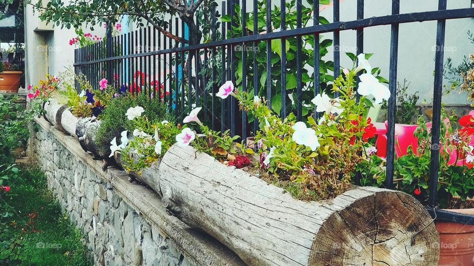 Creative Use of Nature