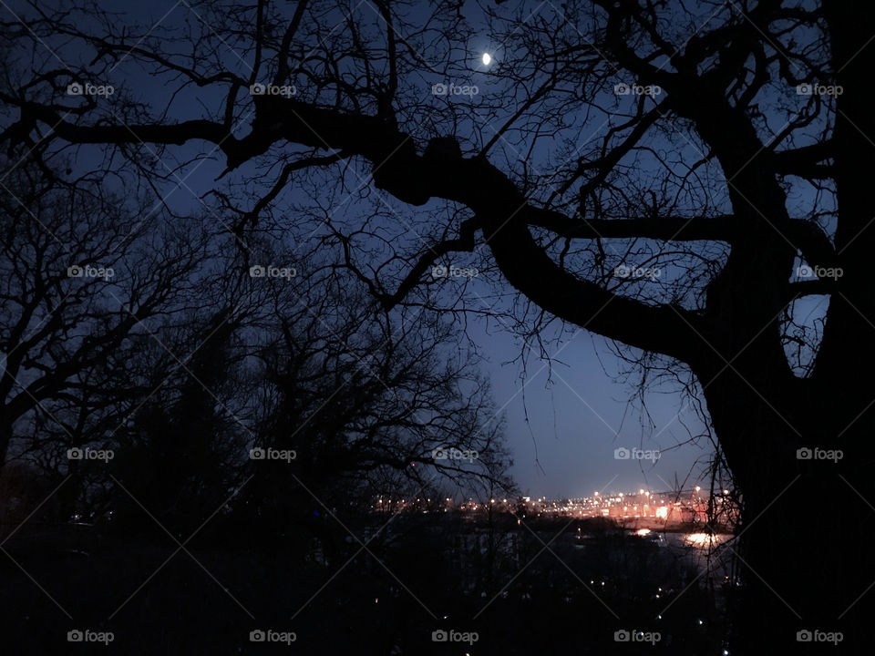 romantic and calm night at the harbor and moon in the sky