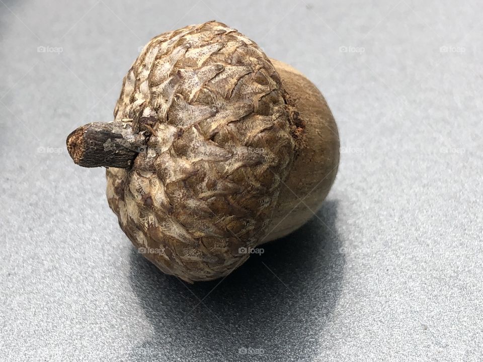 Acorn on a Chevy hood