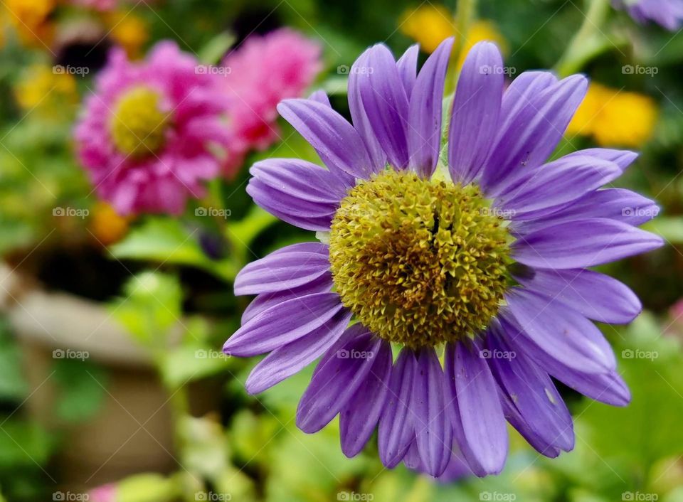 Beauty of the nature