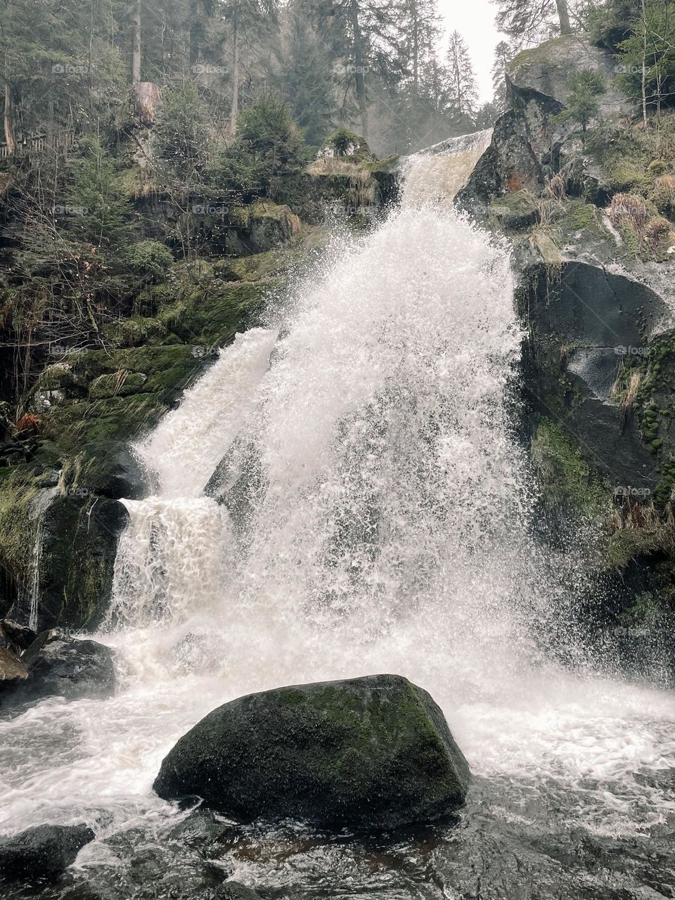 Triberg Cascade in winter 🥶