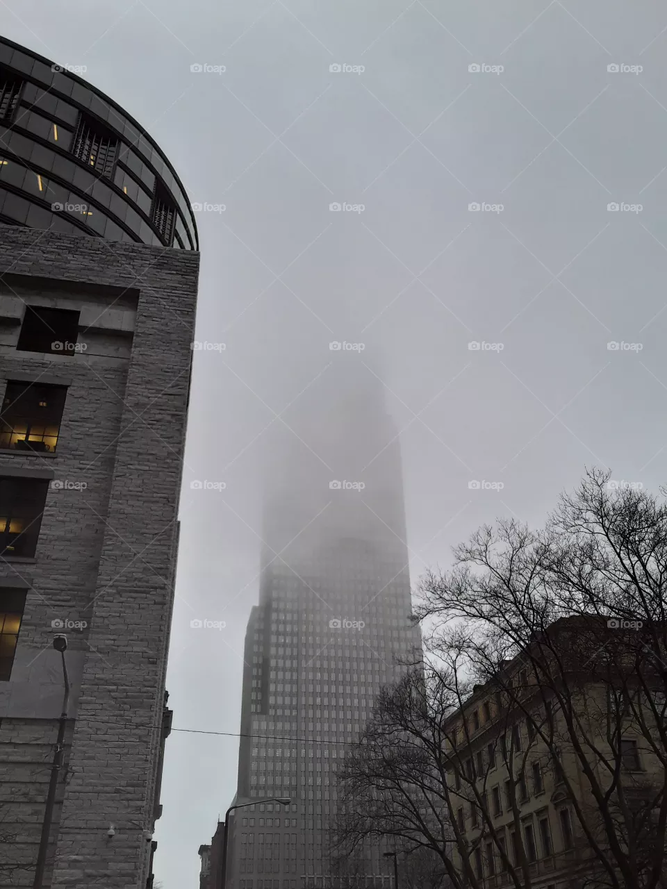 fog covering building in the city