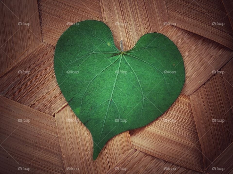 heart shape leave. love background