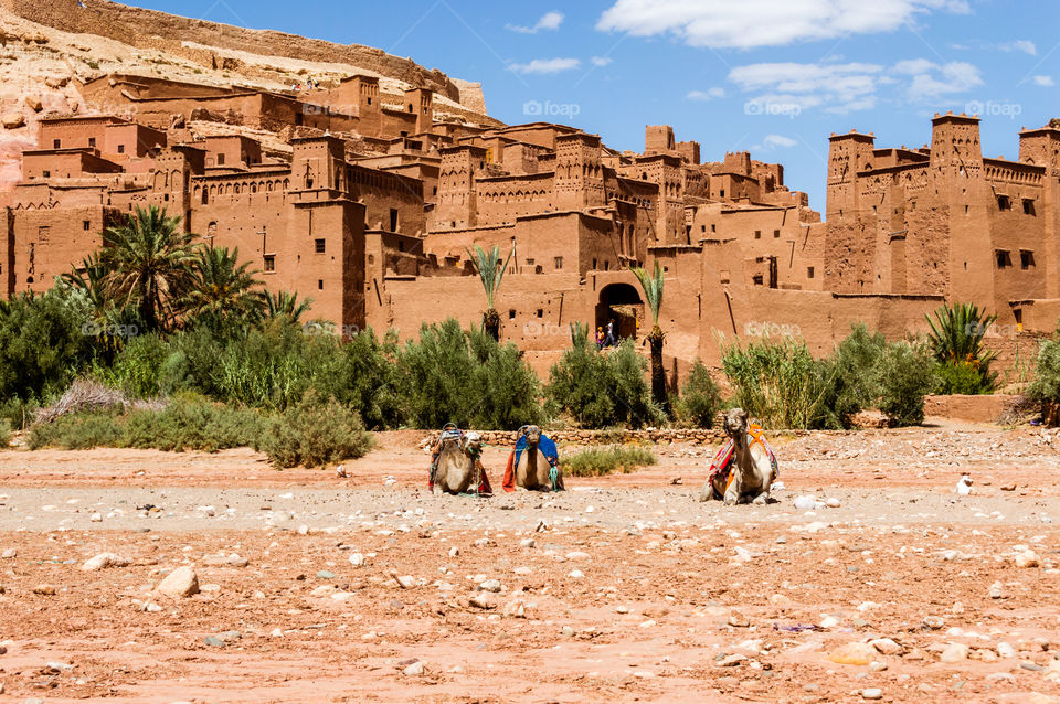 Ksar Ait Benhaddou
camel transport station