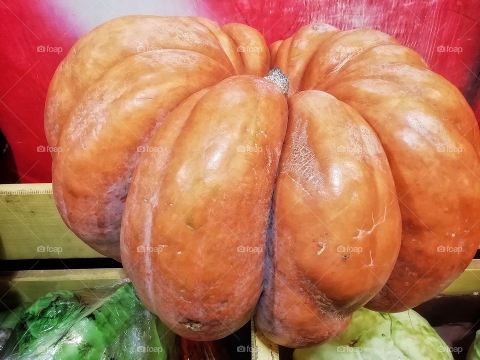 Pum with the pumpkin 🎃