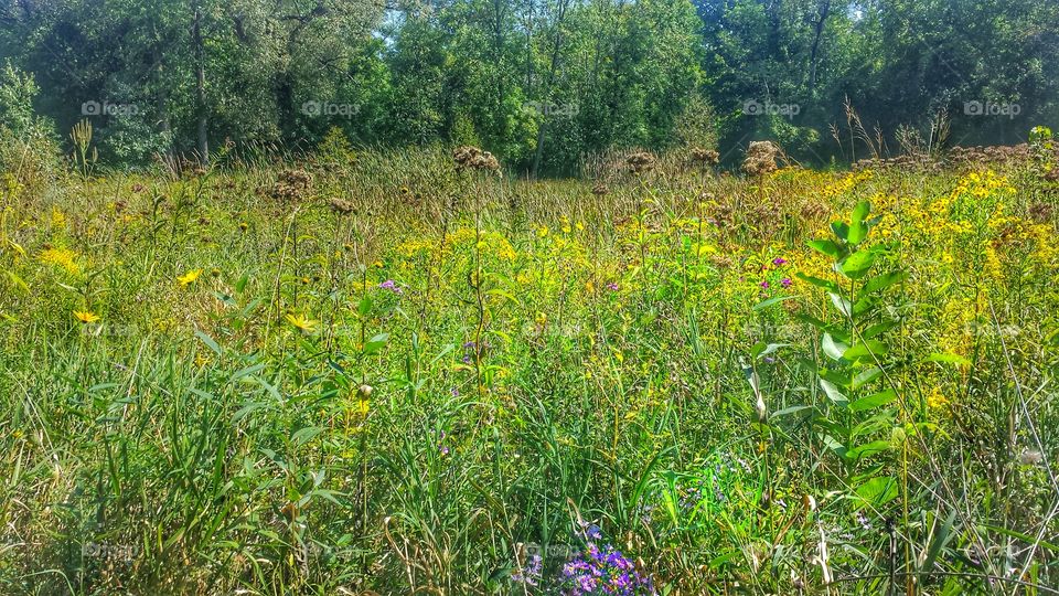 Nature. Autumn Colors