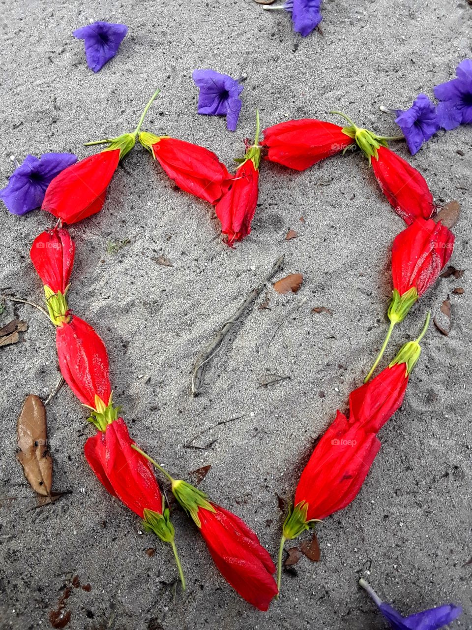 big heart of flowers in sand