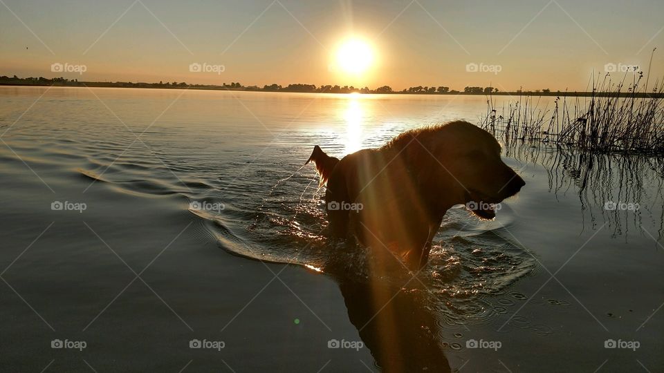 Sunset, Water, Beach, Dawn, Reflection