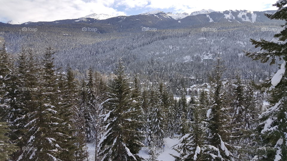 Snow, Winter, Wood, Mountain, Landscape