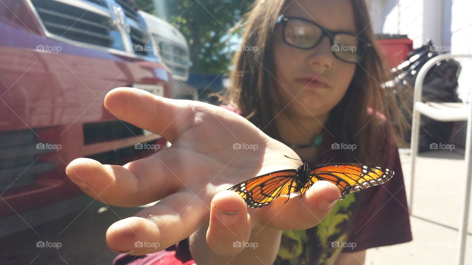 Butterfly on woman's hand