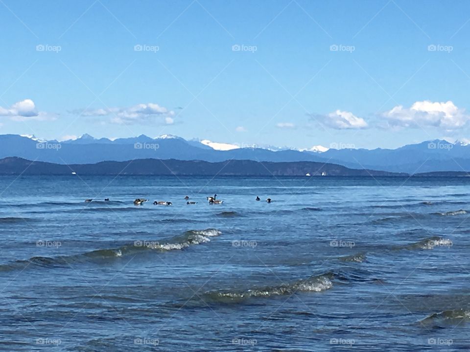 Qualicum  beach ,  Vancouver  Island