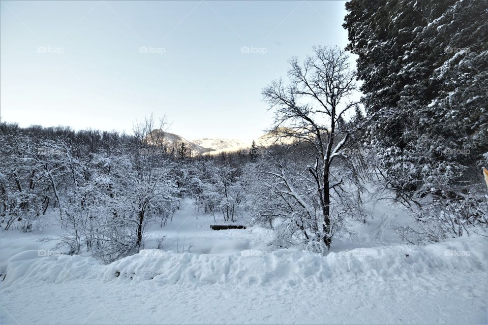 Scenic view in winter