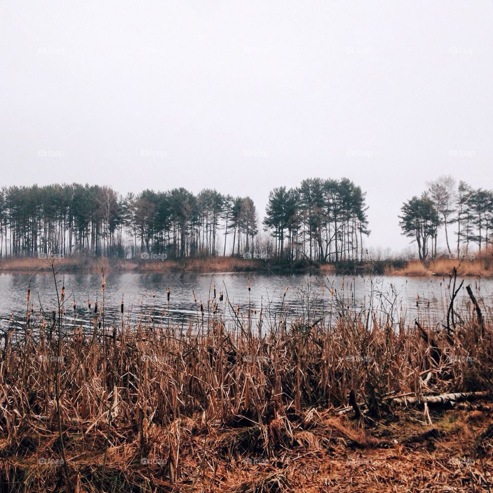 View of a lake in the morning