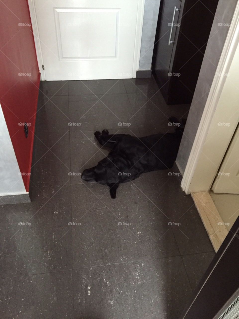 Rest after a long walk 