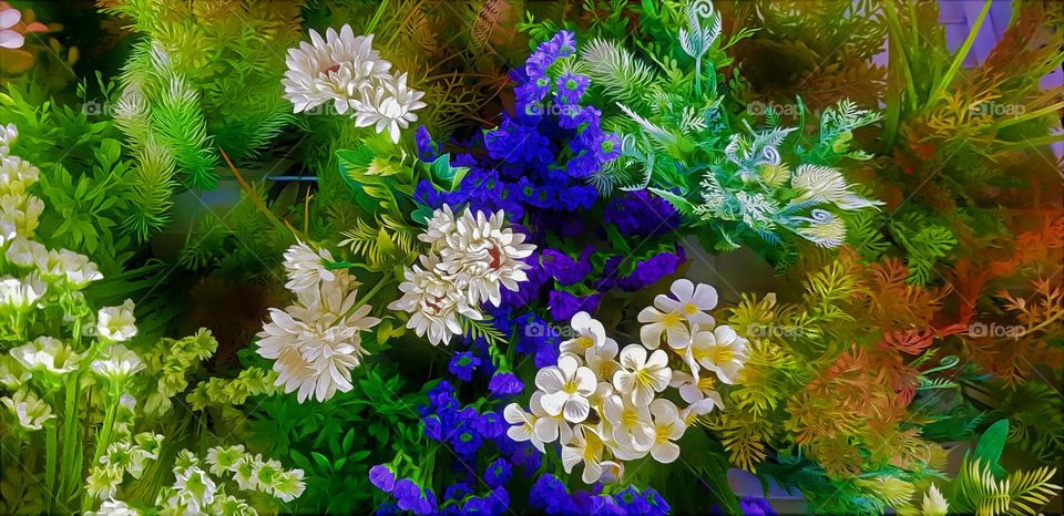white and blue/purple flowers, house ornamental plants, white flowers, purple flowers, light blue flower, green leaves, ornamental flowers, beatify the garden room, garden flowers, home garden, city garden flowers, home garden, houseside flowers, bun