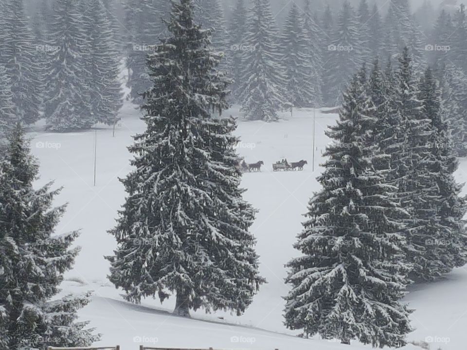 Winter in Romanian Mountains