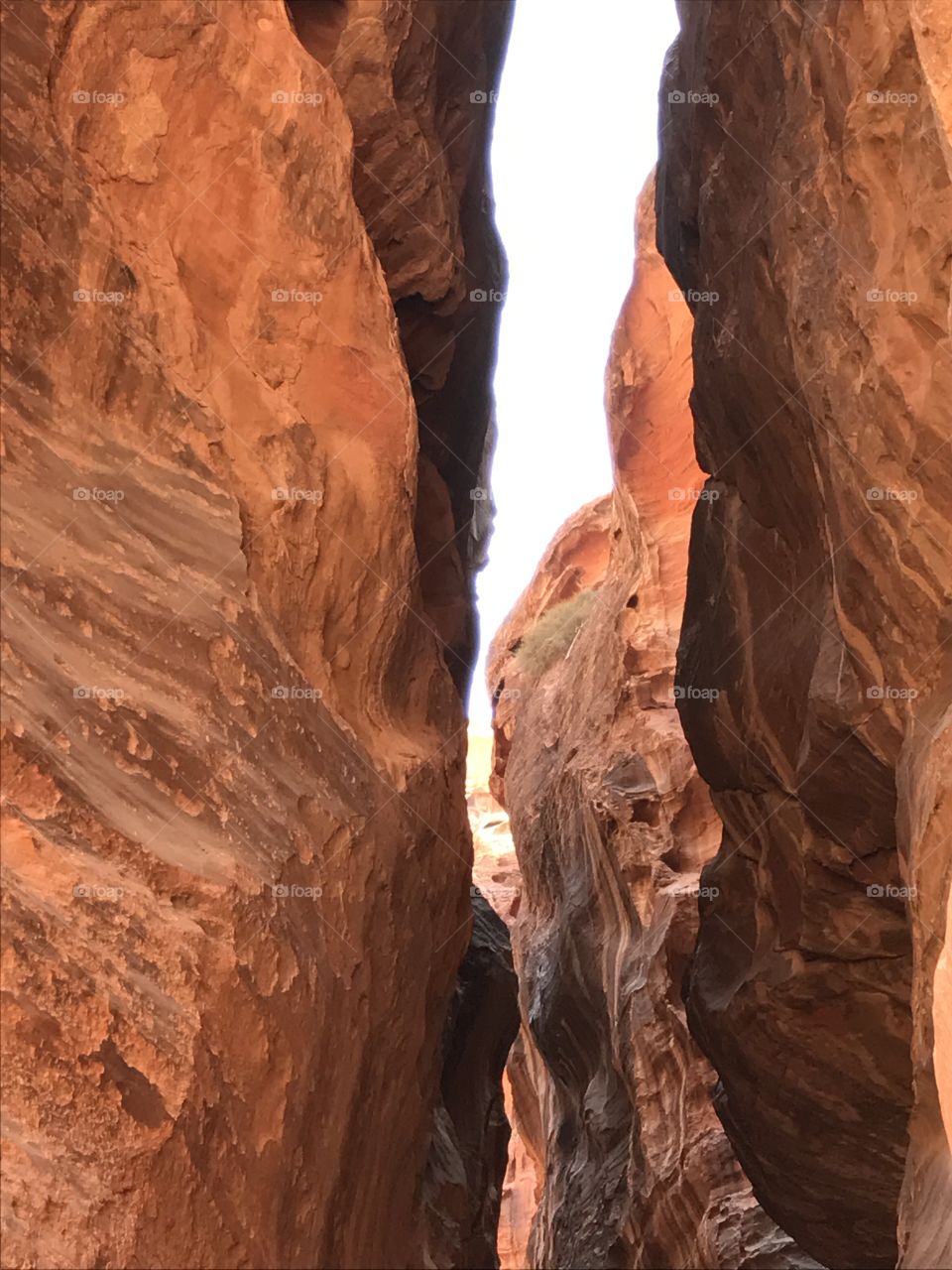 Passway to Petra